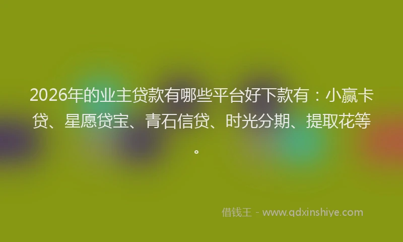 2026年的业主贷款有哪些平台好下款有:小赢卡贷、星愿贷宝、青石信贷、时光分期、提取花等。