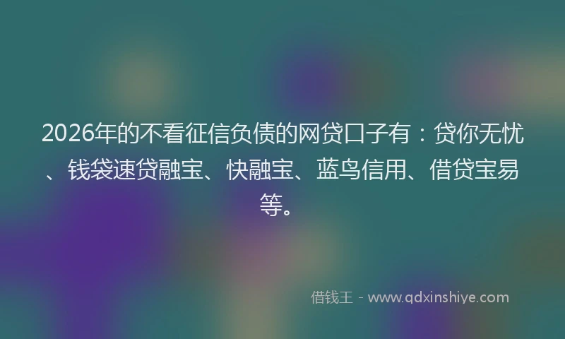 2026年的不看征信负债的网贷口子有：贷你无忧、钱袋速贷融宝、快融宝、蓝鸟信用、借贷宝易等。