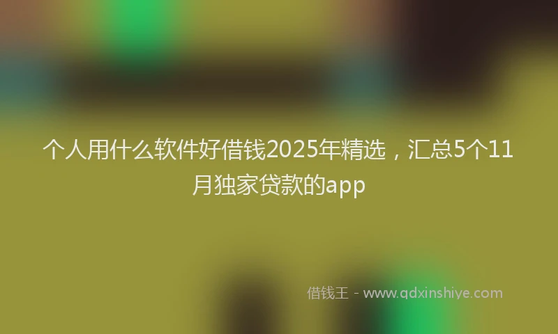 个人用什么软件好借钱2025年精选，汇总5个11月独家贷款的app