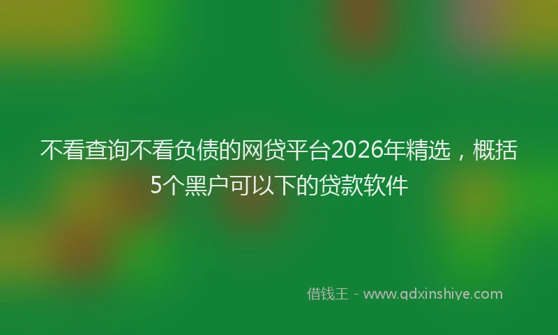 不看查询不看负债的网贷平台2026年精选，概括5个黑户可以下的贷款软件