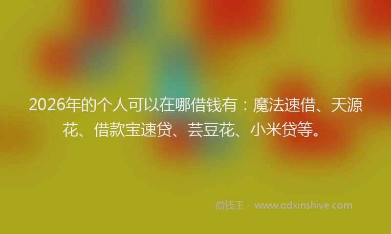 2026年的个人可以在哪借钱有：魔法速借、天源花、借款宝速贷、芸豆花、小米贷等。