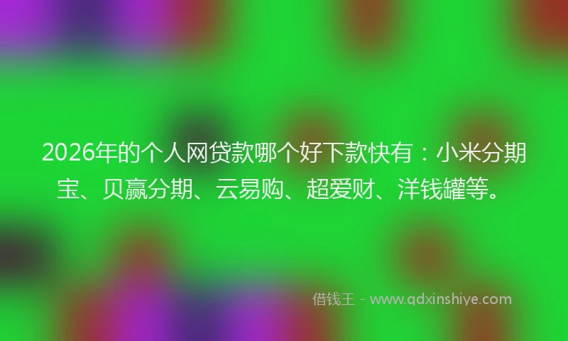2026年的个人网贷款哪个好下款快有：小米分期宝、贝赢分期、云易购、超爱财、洋钱罐等。