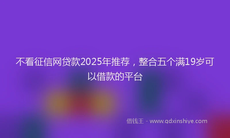 不看征信网贷款2025年推荐，整合五个满19岁可以借款的平台