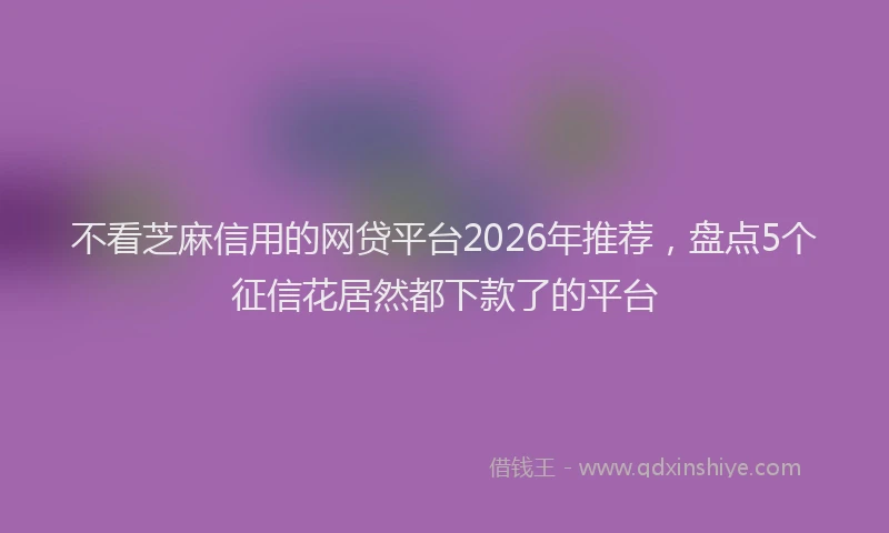 不看芝麻信用的网贷平台2026年推荐，盘点5个征信花居然都下款了的平台