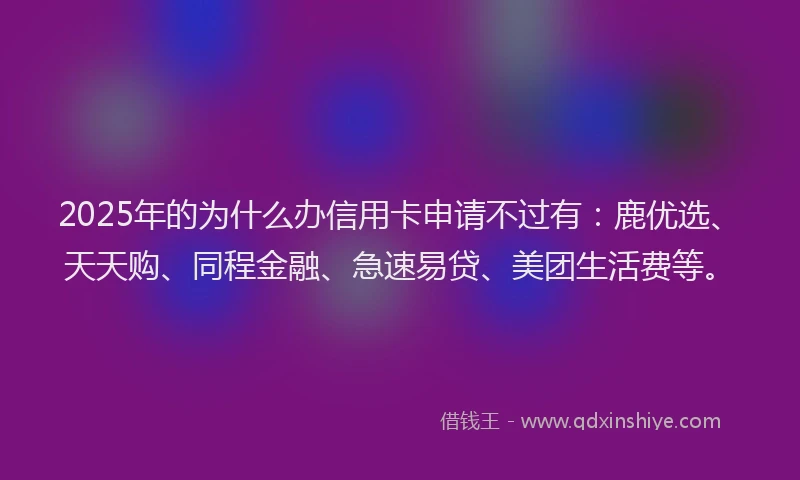 2025年的为什么办信用卡申请不过有：鹿优选、天天购、同程金融、急速易贷、美团生活费等。