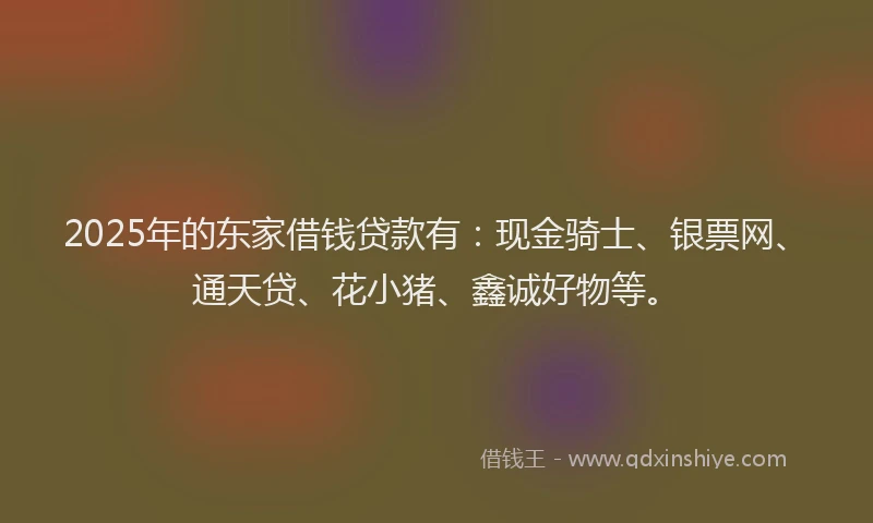 2025年的东家借钱贷款有：现金骑士、银票网、通天贷、花小猪、鑫诚好物等。