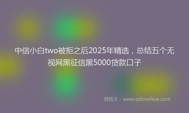 中信小白two被拒之后2025年精选，总结五个无视网黑征信黑5000贷款口子