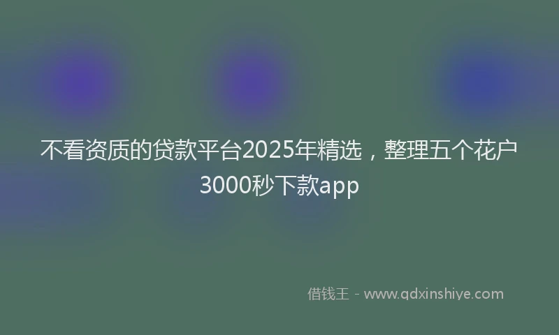 不看资质的贷款平台2025年精选，整理五个花户3000秒下款app