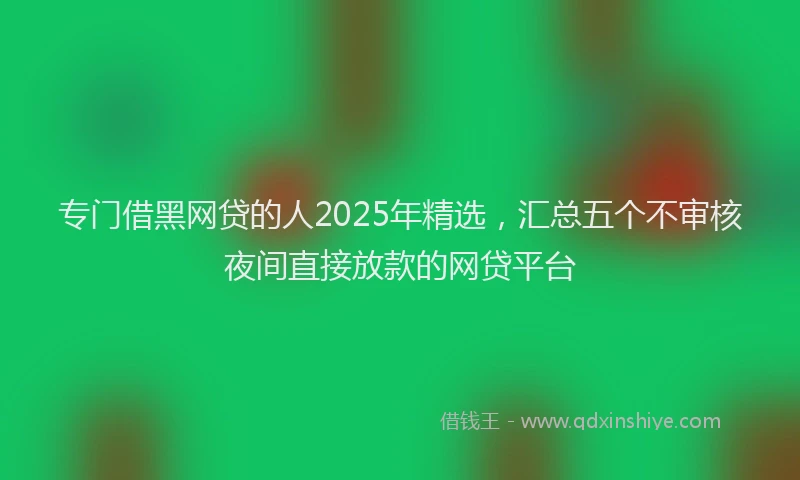 专门借黑网贷的人2025年精选,汇总五个不审核夜间直接放款的网贷平台