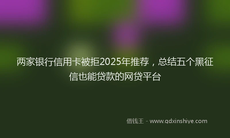 两家银行信用卡被拒2025年推荐，总结五个黑征信也能贷款的网贷平台