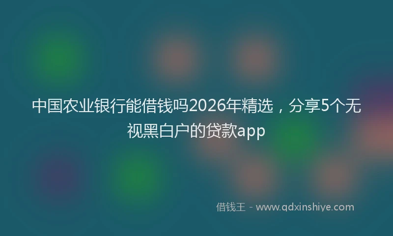 中国农业银行能借钱吗2026年精选，分享5个无视黑白户的贷款app