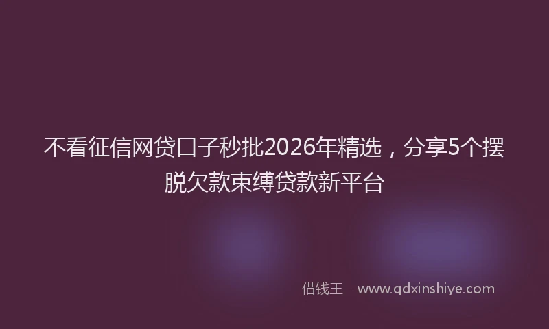 不看征信网贷口子秒批2026年精选，分享5个摆脱欠款束缚贷款新平台