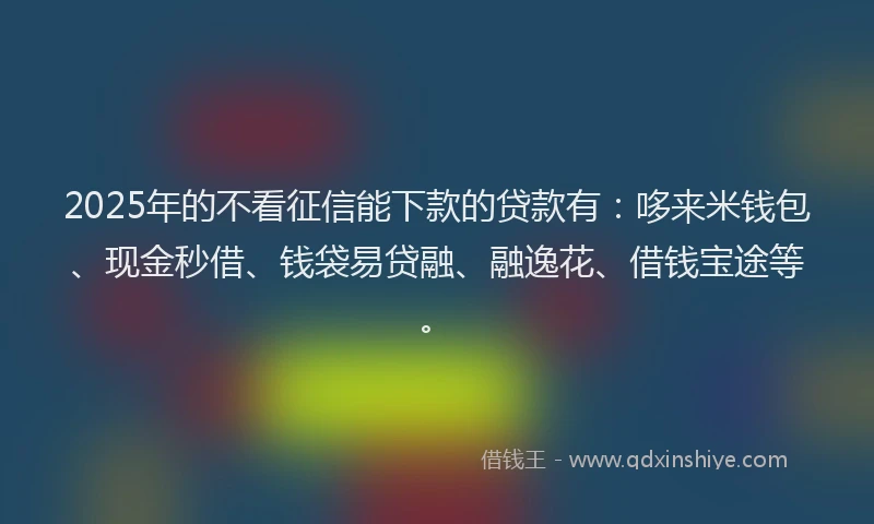2025年的不看征信能下款的贷款有:哆来米钱包、现金秒借、钱袋易贷融、融逸花、借钱宝途等。