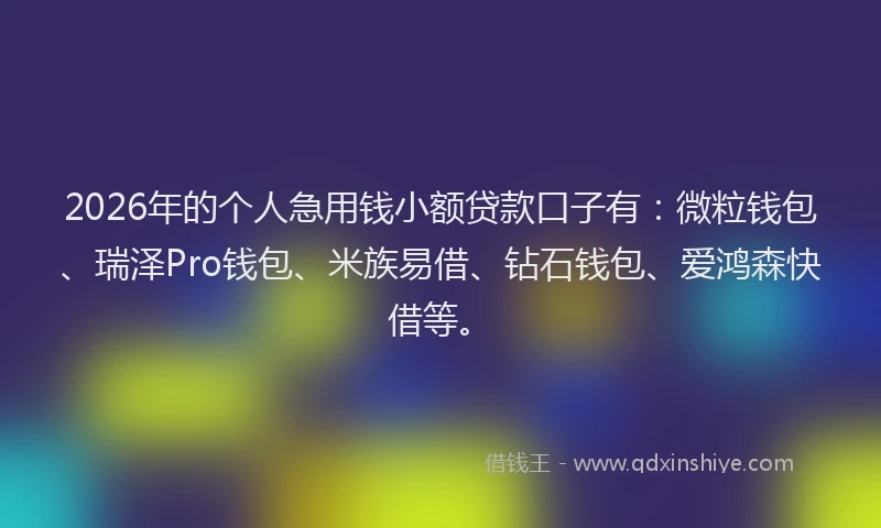 2026年的个人急用钱小额贷款口子有：微粒钱包、瑞泽Pro钱包、米族易借、钻石钱包、爱鸿森快借等。
