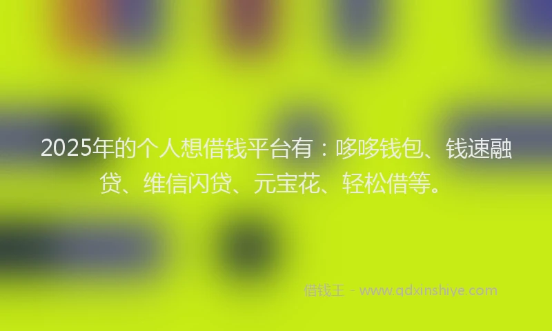 2025年的个人想借钱平台有：哆哆钱包、钱速融贷、维信闪贷、元宝花、轻松借等。