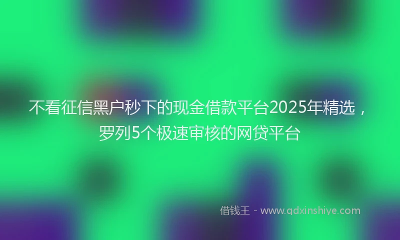 不看征信黑户秒下的现金借款平台2025年精选，罗列5个极速审核的网贷平台