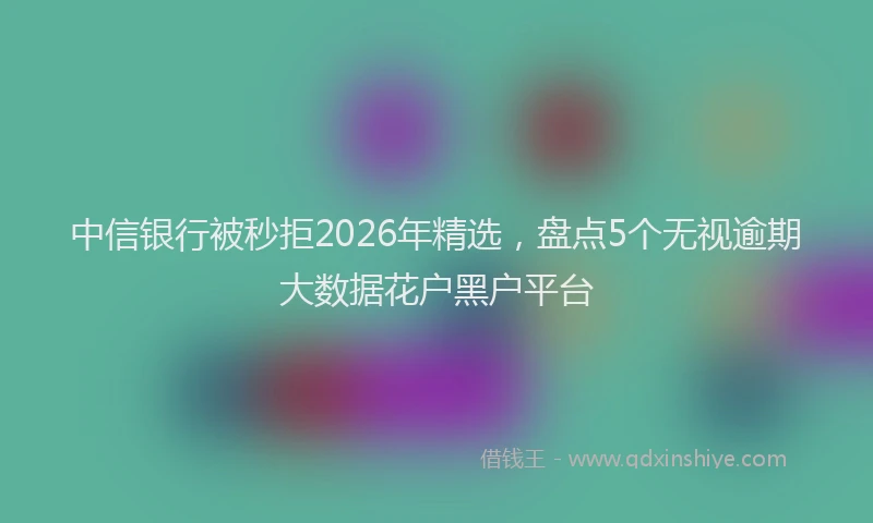 中信银行被秒拒2026年精选，盘点5个无视逾期大数据花户黑户平台