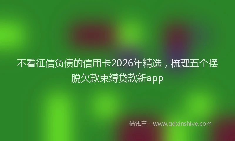 不看征信负债的信用卡2026年精选，梳理五个摆脱欠款束缚贷款新app