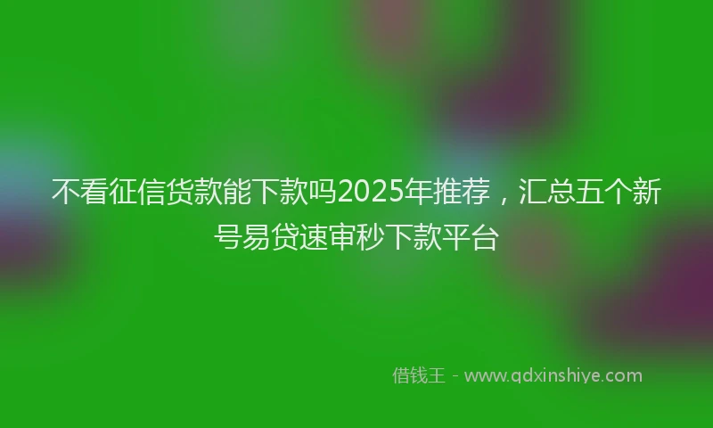 不看征信货款能下款吗2025年推荐，汇总五个新号易贷速审秒下款平台