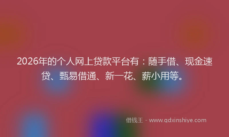 2026年的个人网上贷款平台有：随手借、现金速贷、甄易借通、新一花、薪小用等。