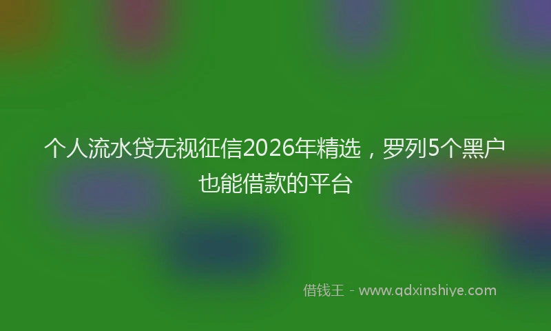 个人流水贷无视征信2026年精选，罗列5个黑户也能借款的平台