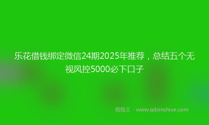 乐花借钱绑定微信24期2025年推荐，总结五个无视风控5000必下口子