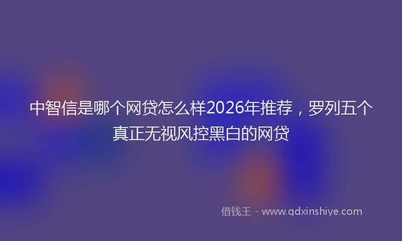 中智信是哪个网贷怎么样2026年推荐，罗列五个真正无视风控黑白的网贷
