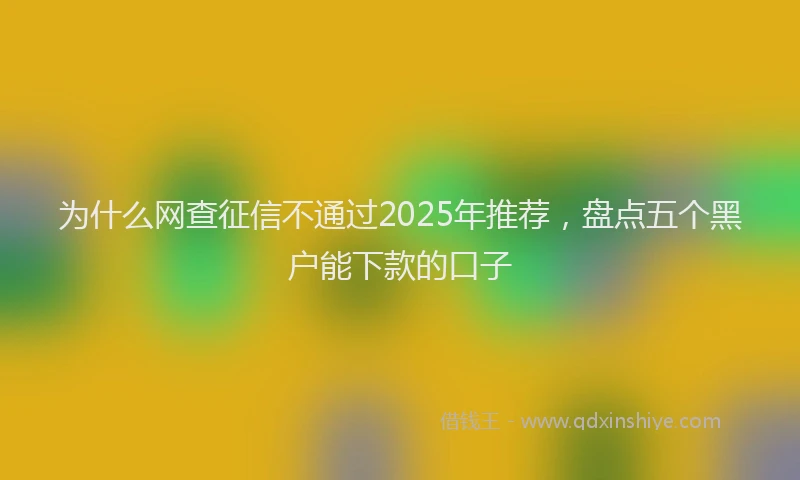 为什么网查征信不通过2025年推荐,盘点五个黑户能下款的口子