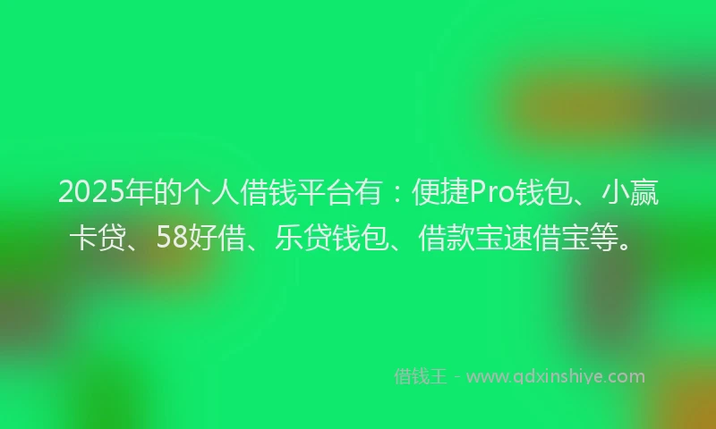 2025年的个人借钱平台有：便捷Pro钱包、小赢卡贷、58好借、乐贷钱包、借款宝速借宝等。