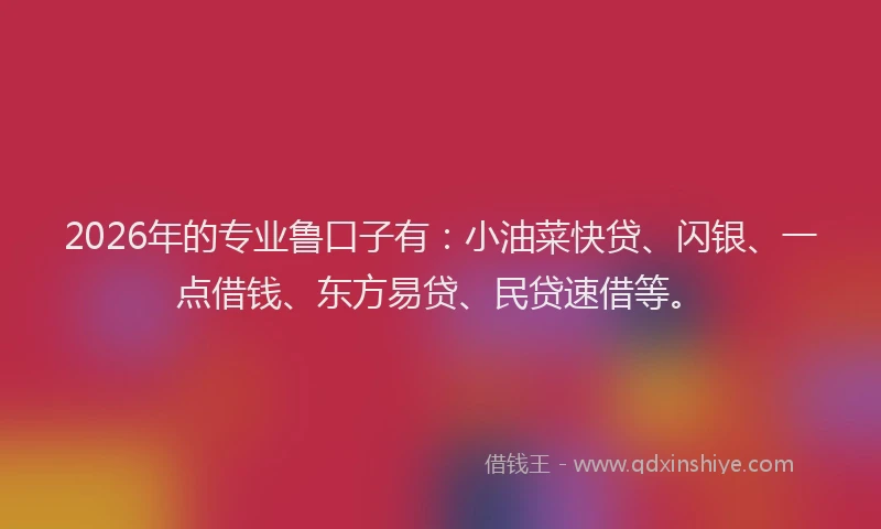 2026年的专业鲁口子有：小油菜快贷、闪银、一点借钱、东方易贷、民贷速借等。