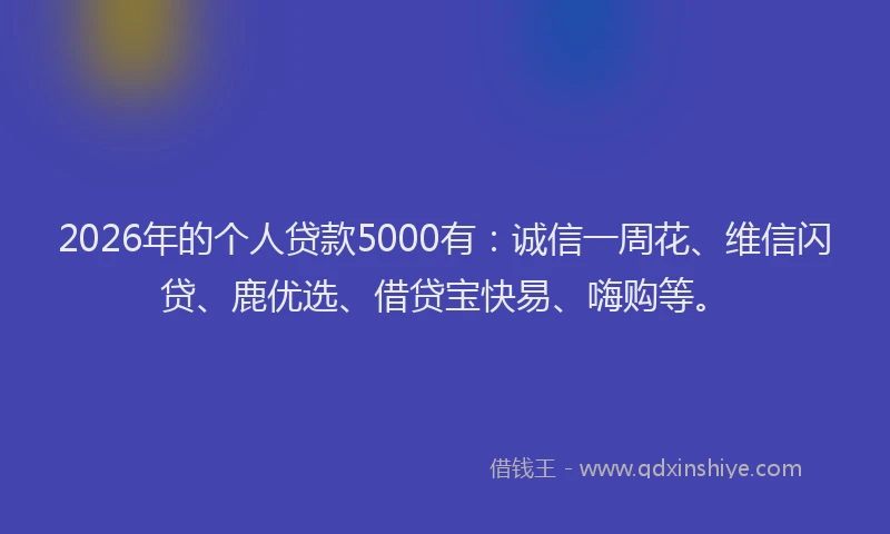 2026年的个人贷款5000有：诚信一周花、维信闪贷、鹿优选、借贷宝快易、嗨购等。