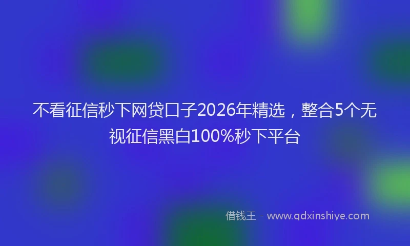 不看征信秒下网贷口子2026年精选，整合5个无视征信黑白100%秒下平台