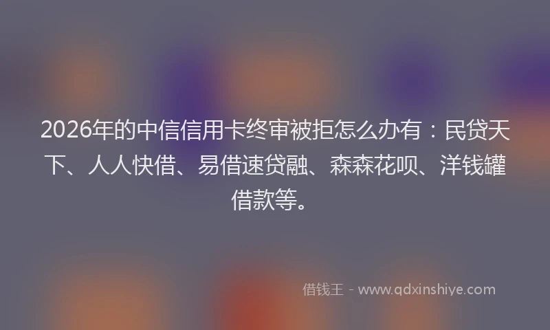 2026年的中信信用卡终审被拒怎么办有：民贷天下、人人快借、易借速贷融、森森花呗、洋钱罐借款等。