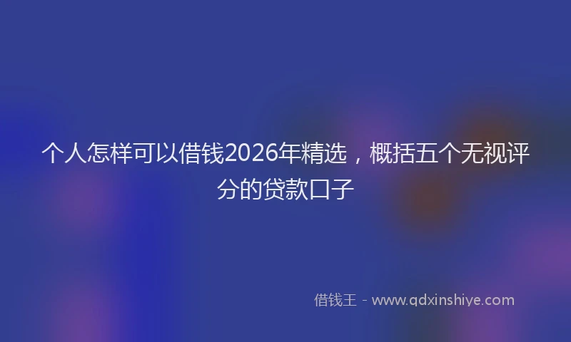 个人怎样可以借钱2026年精选，概括五个无视评分的贷款口子