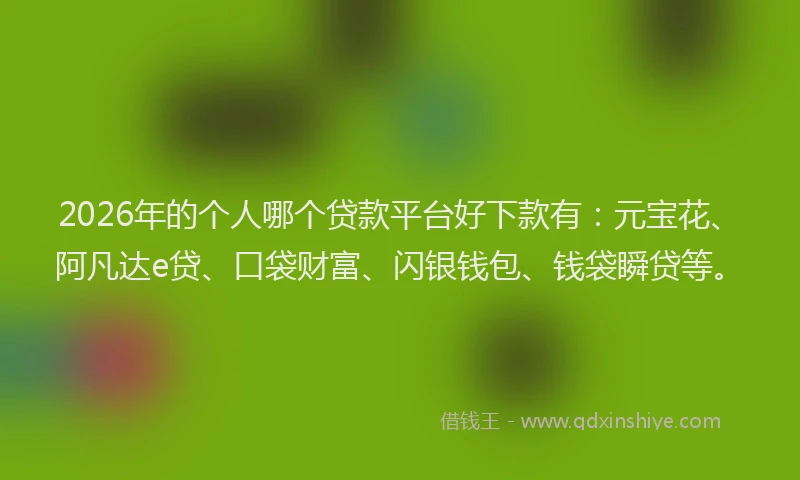 2026年的个人哪个贷款平台好下款有:元宝花、阿凡达e贷、口袋财富、闪银钱包、钱袋瞬贷等。