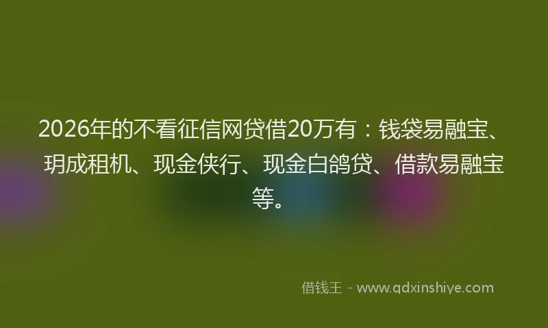 2026年的不看征信网贷借20万有：钱袋易融宝、玥成租机、现金侠行、现金白鸽贷、借款易融宝等。