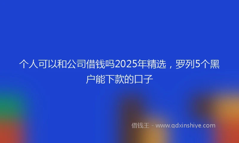 个人可以和公司借钱吗2025年精选，罗列5个黑户能下款的口子