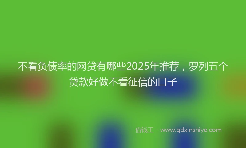 不看负债率的网贷有哪些2025年推荐，罗列五个贷款好做不看征信的口子