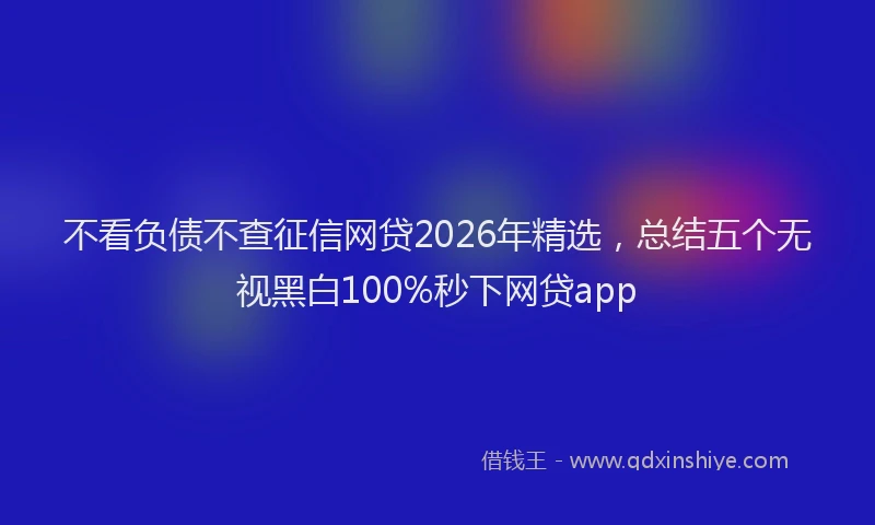 不看负债不查征信网贷2026年精选，总结五个无视黑白100%秒下网贷app