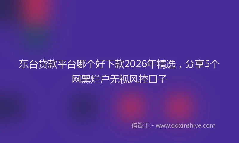 东台贷款平台哪个好下款2026年精选，分享5个网黑烂户无视风控口子