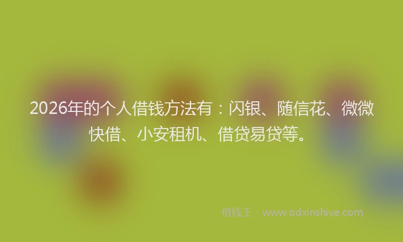2026年的个人借钱方法有：闪银、随信花、微微快借、小安租机、借贷易贷等。