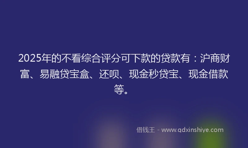 2025年的不看综合评分可下款的贷款有：沪商财富、易融贷宝盒、还呗、现金秒贷宝、现金借款等。