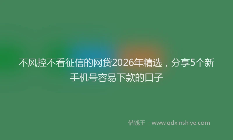 不风控不看征信的网贷2026年精选，分享5个新手机号容易下款的口子