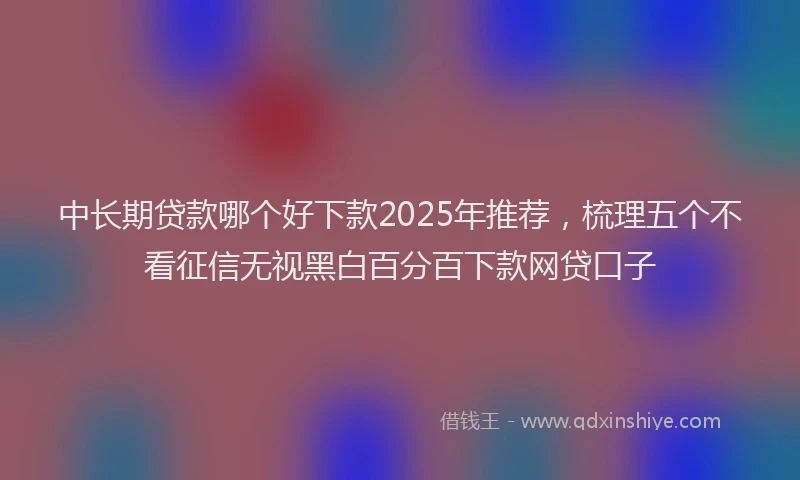 中长期贷款哪个好下款2025年推荐,梳理五个不看征信无视黑白百分百下款网贷口子