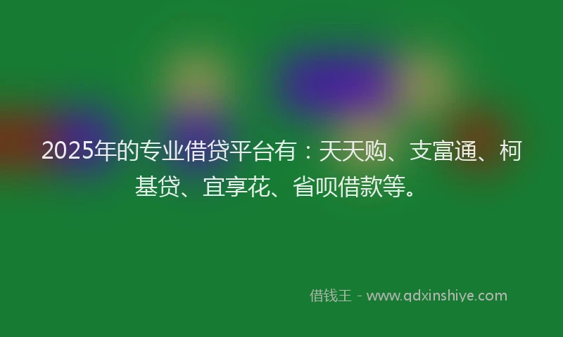 2025年的专业借贷平台有：天天购、支富通、柯基贷、宜享花、省呗借款等。