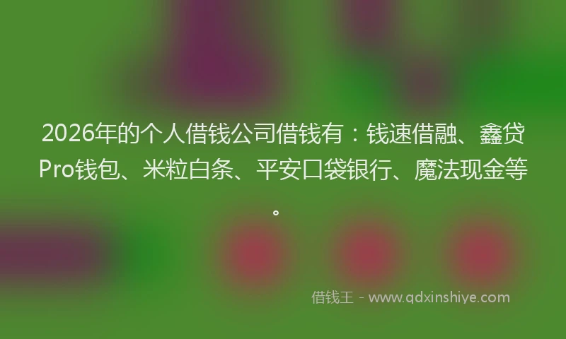 2026年的个人借钱公司借钱有:钱速借融、鑫贷Pro钱包、米粒白条、平安口袋银行、魔法现金等。