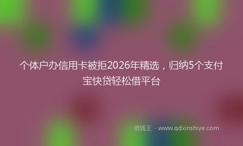 个体户办信用卡被拒2026年精选,归纳5个支付宝快贷轻松借平台