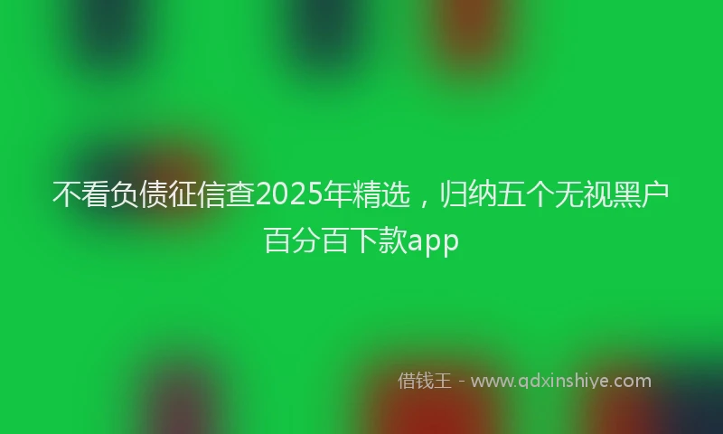 不看负债征信查2025年精选，归纳五个无视黑户百分百下款app