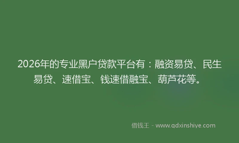 2026年的专业黑户贷款平台有：融资易贷、民生易贷、速借宝、钱速借融宝、葫芦花等。