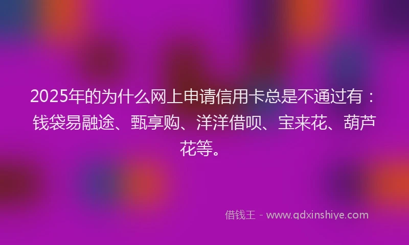 2025年的为什么网上申请信用卡总是不通过有：钱袋易融途、甄享购、洋洋借呗、宝来花、葫芦花等。
